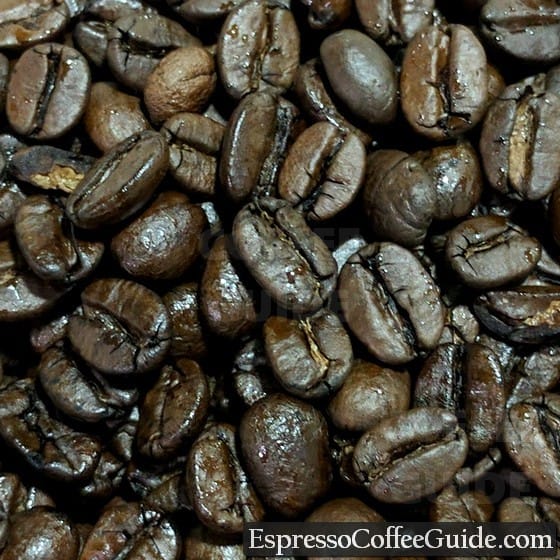 Brazil Santos Coffee Beans - Espresso Roast
