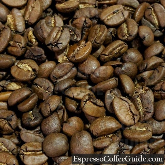 Brazil Santos Coffee Beans - Medium Roast