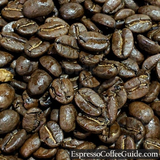 Burundi Coffee Beans - Medium Roast