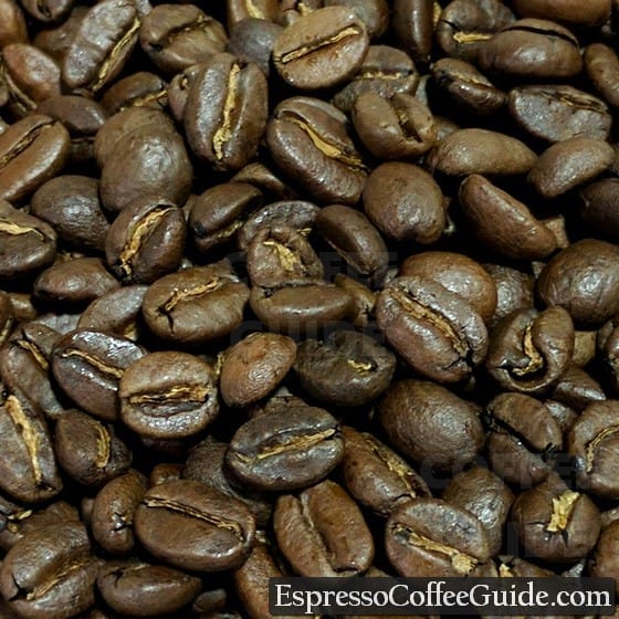 Colombian Organic Coffee Beans - Medium Roast