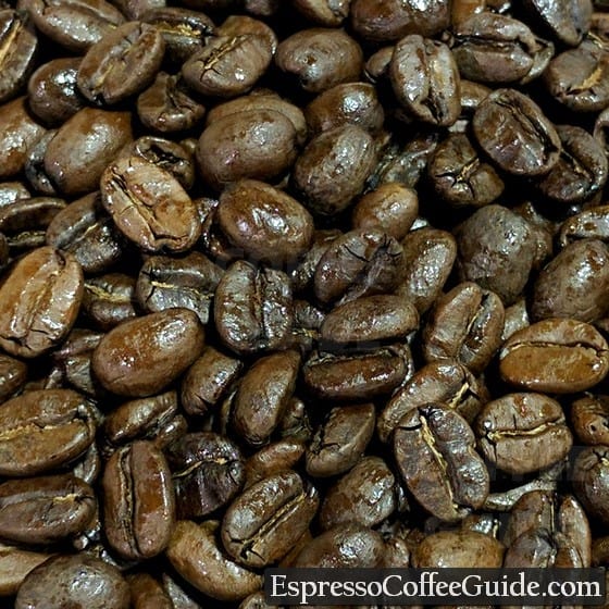 Dominican Organic Coffee Beans - Medium Roast