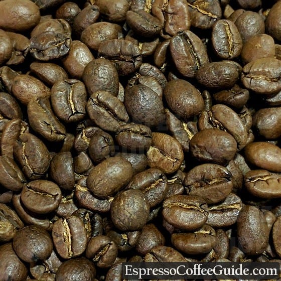 Guatemala Antigua Coffee Beans - Medium Roast
