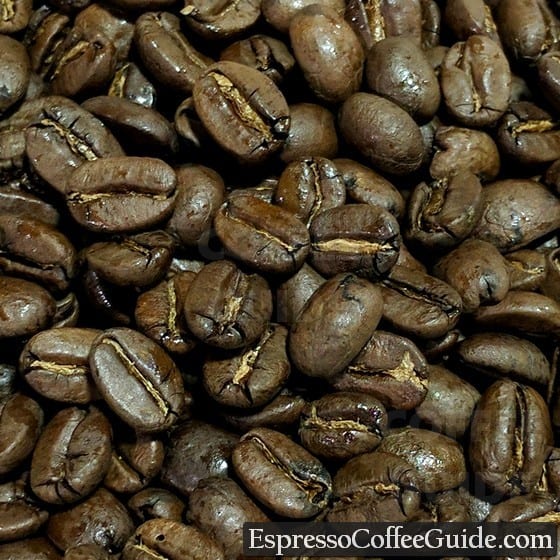 Haiti Blue Pine Forest Coffee Beans - Medium Roast