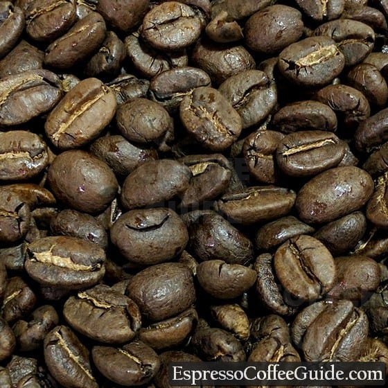 Honduras Coffee Beans - Medium Roast