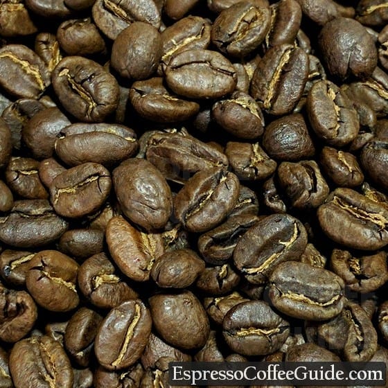 Kenya AA Coffee Beans - Medium Roast
