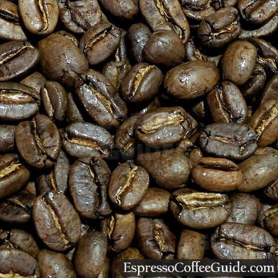 Sumatra Organic Coffee Beans - Medium Roast