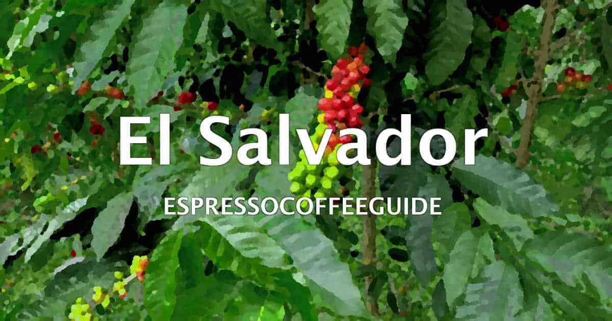 El Salvador Coffees