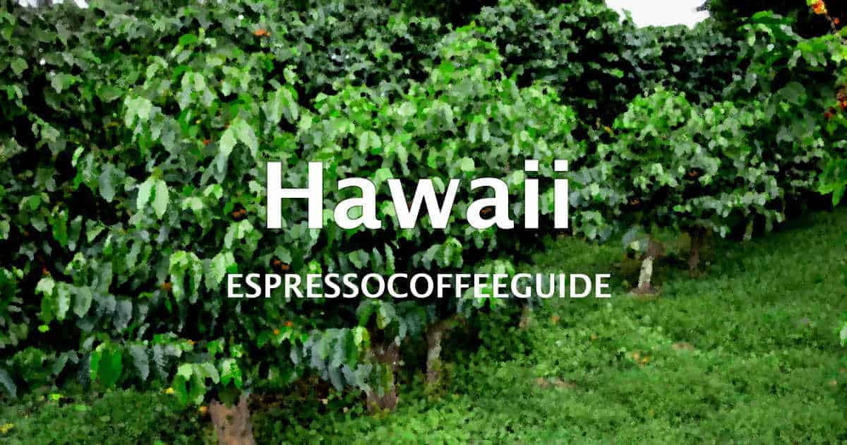 Hawaii Coffees