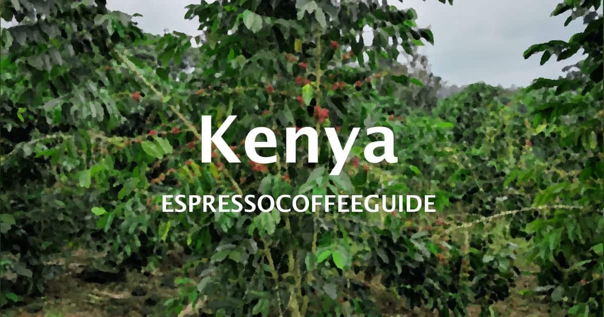 Kenya Coffees
