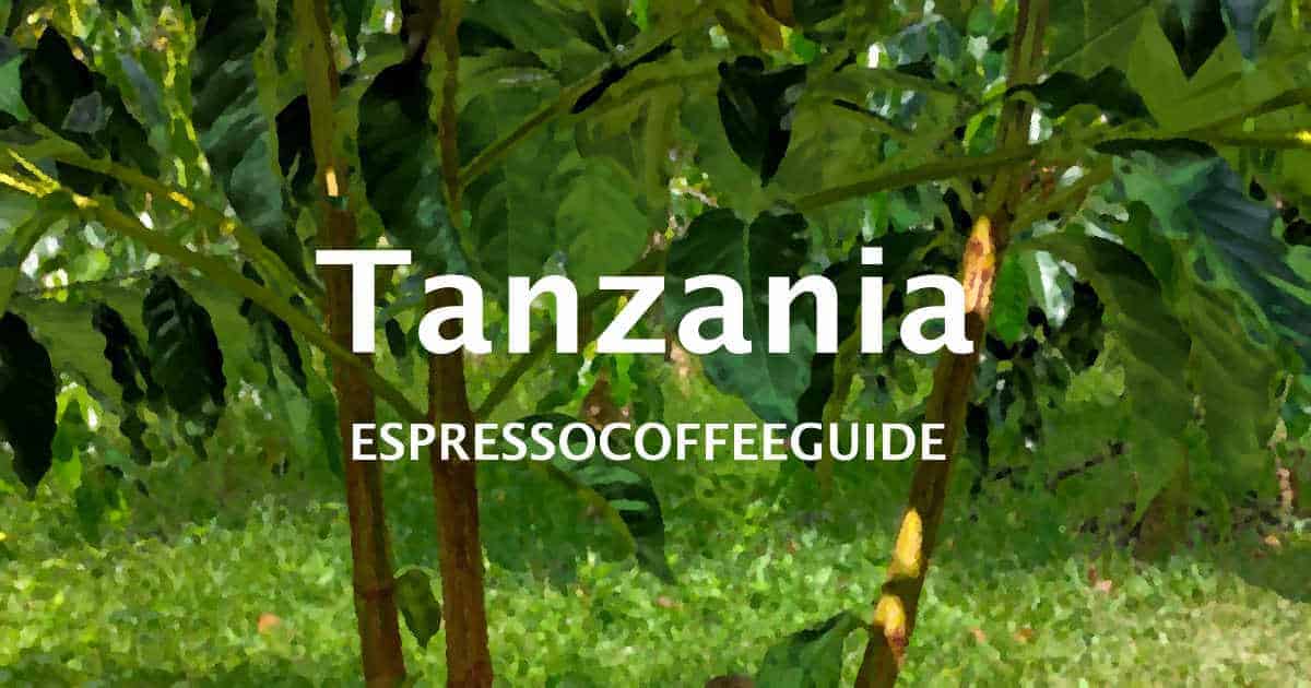 Tanzania Coffees