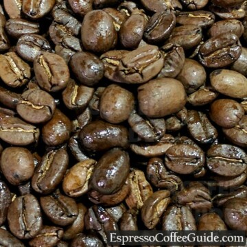Nicaragua Organic Coffee Beans - Medium Roast