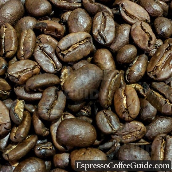 Sumatra Mandheling Coffee Beans - Medium Roast