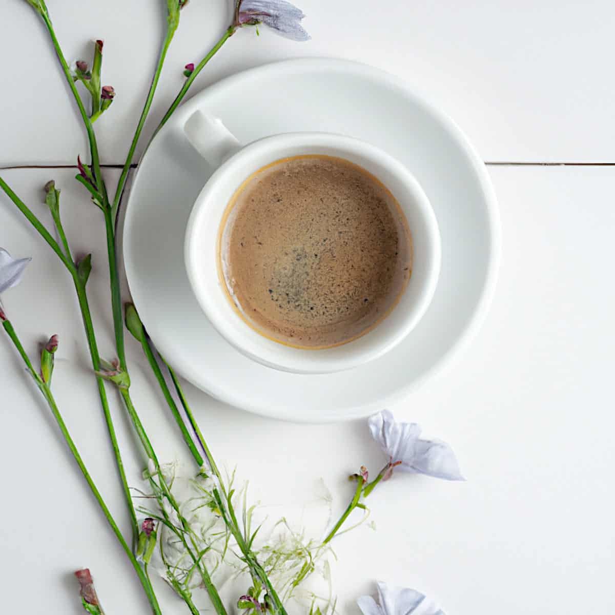 a cup of chicory coffee with chicory flowers beside it