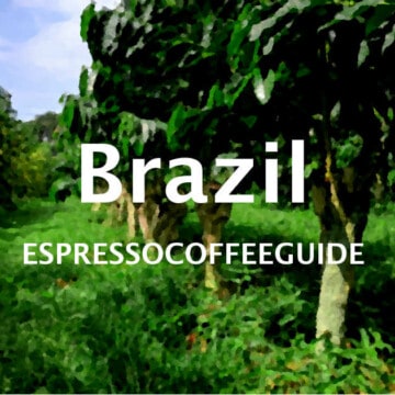 Brazil Coffees