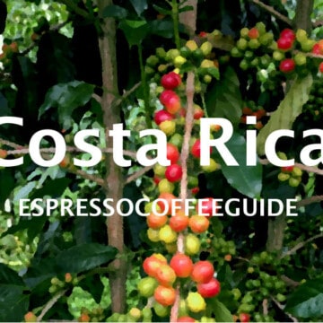Costa Rica Coffees