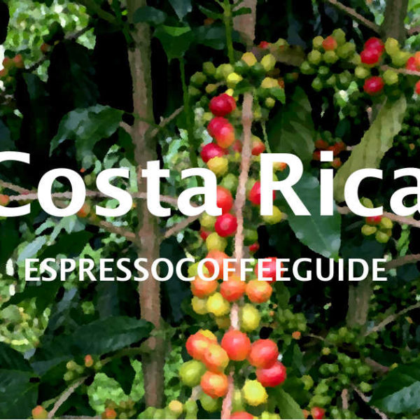 Single Origin Coffee Beans - Espresso & Coffee Guide