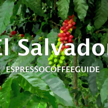 El Salvador Coffees