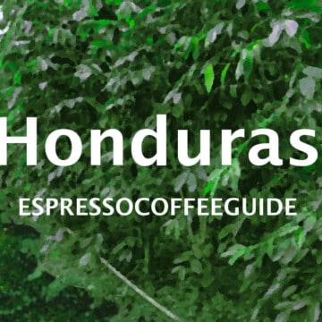 Honduras Coffees