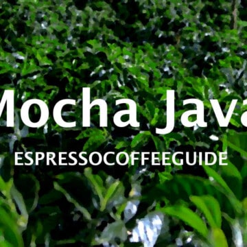 Mocha Java Coffees