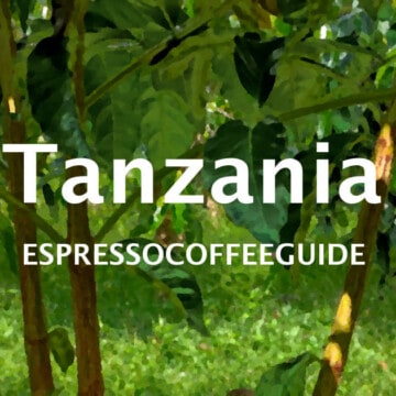 Tanzania Coffees